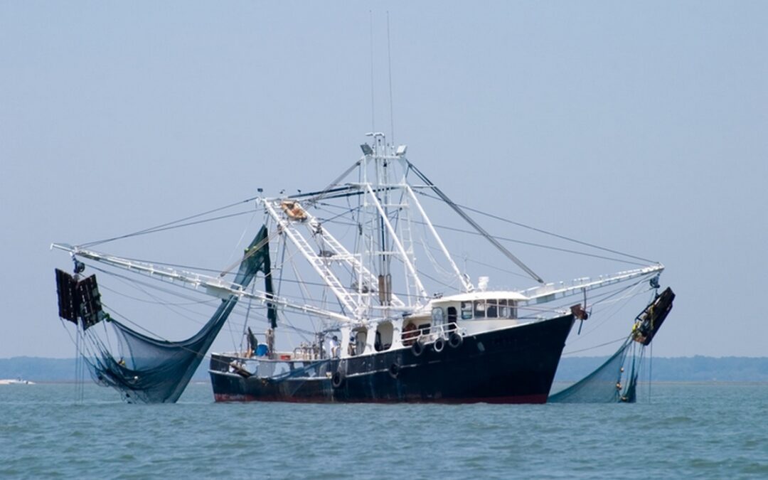 When Shrimpers Lead the Way: A Lesson for Faithful Christians to Engage the Culture