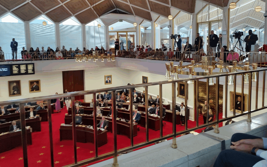 Historic Override of Eight Vetoes: What Were They About?