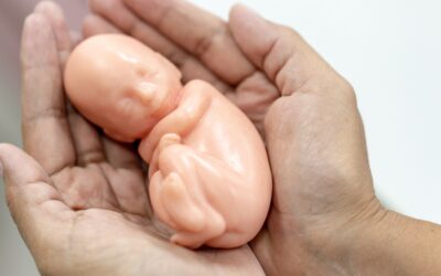 When State Lines Decide Life and Death