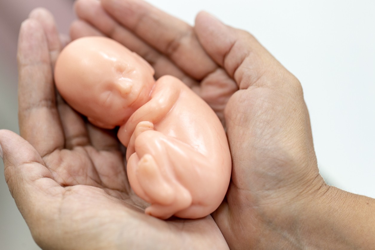 Abortion – When State Lines Decide Life and Death