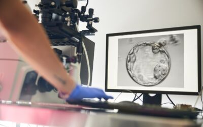 Seven Witnesses to the Sacredness of Human Life in the Womb