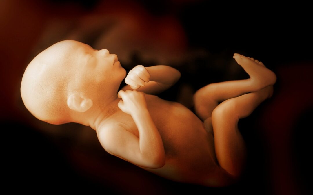 When God Entered the Womb: Why Human Life Is Sacred