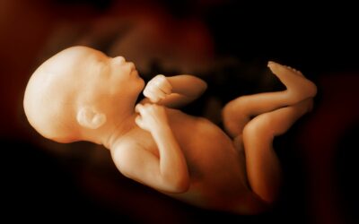 When God Entered the Womb: Why Human Life Is Sacred